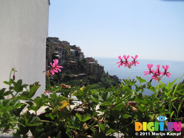 SX19662 Flowers and houses in Corniglia, Cinque Terre, Italy